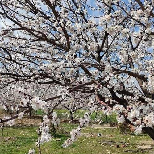 Kale İkizpınar Köyü Resimleri 2