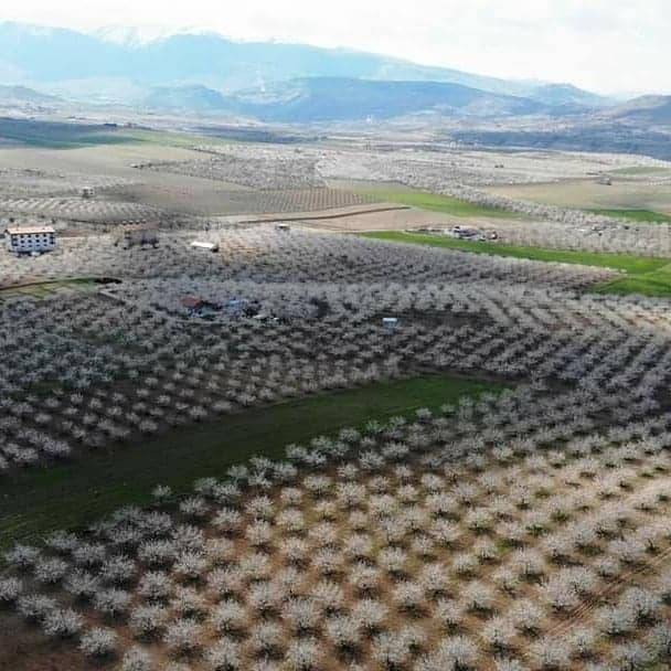 Kale İkizpınar Köyü Resimleri 3