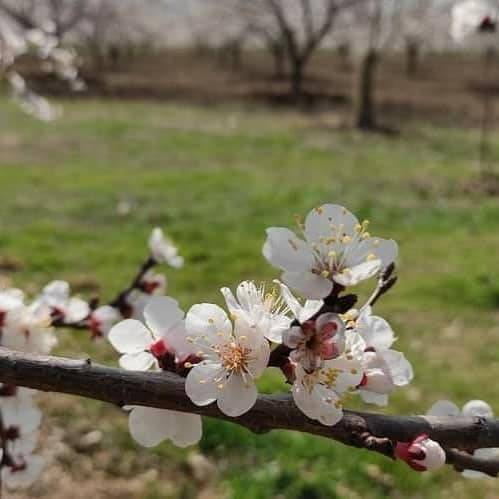 Kale İkizpınar Köyü Resimleri 4