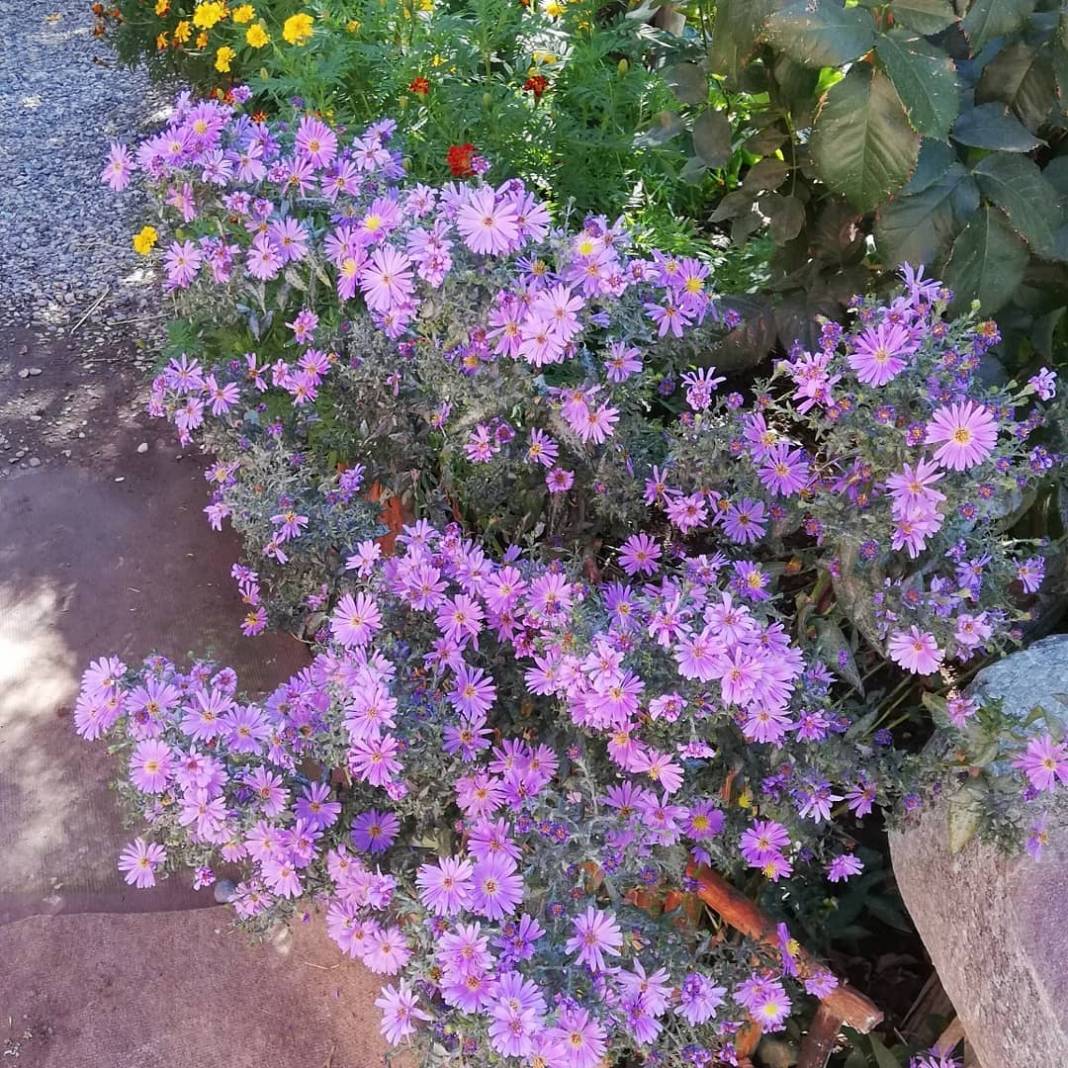 Kale Kozluk Köyü Resimleri 7