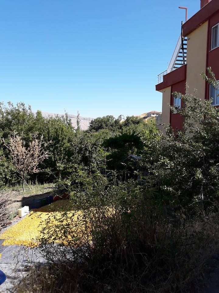 Kale Salkımlı Köyü Resimleri 7