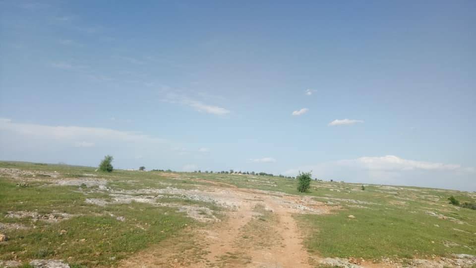 Şehitkamil Taşlıca Köyü Resimleri 1