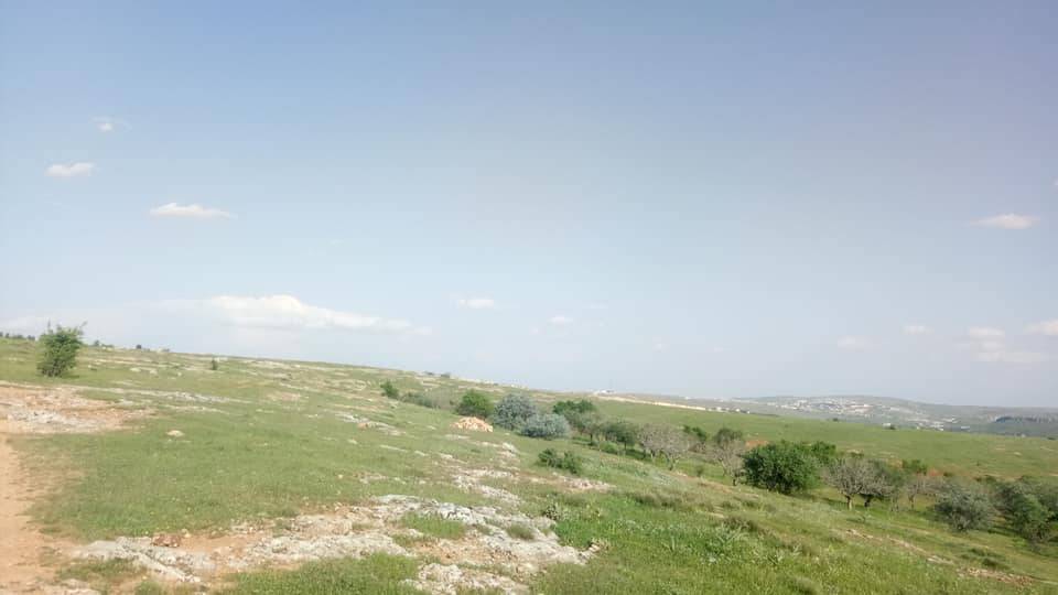 Şehitkamil Taşlıca Köyü Resimleri 2