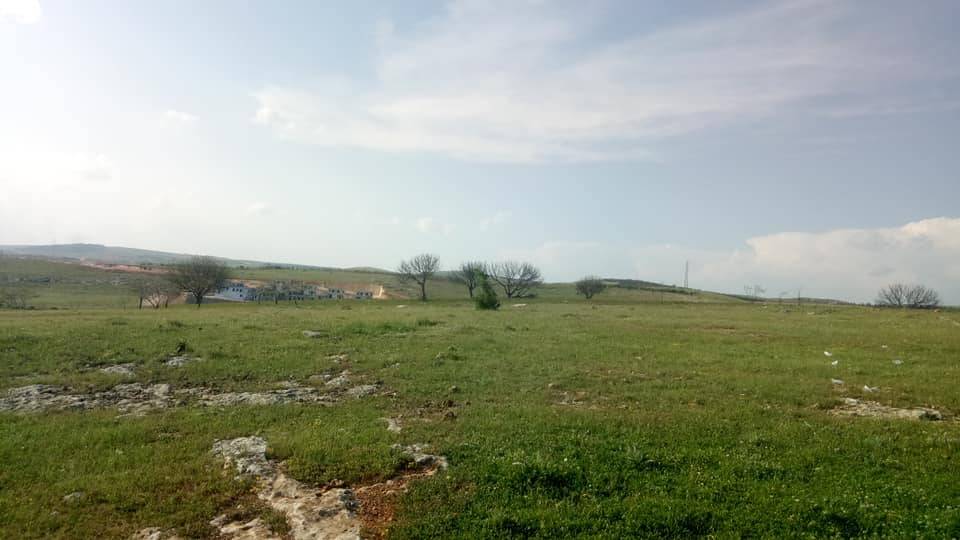 Şehitkamil Taşlıca Köyü Resimleri 3