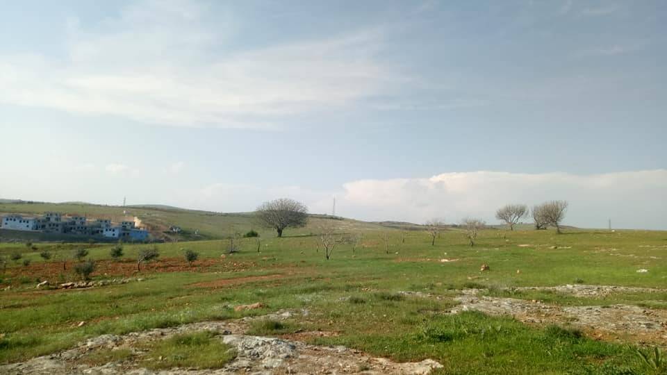 Şehitkamil Taşlıca Köyü Resimleri 4