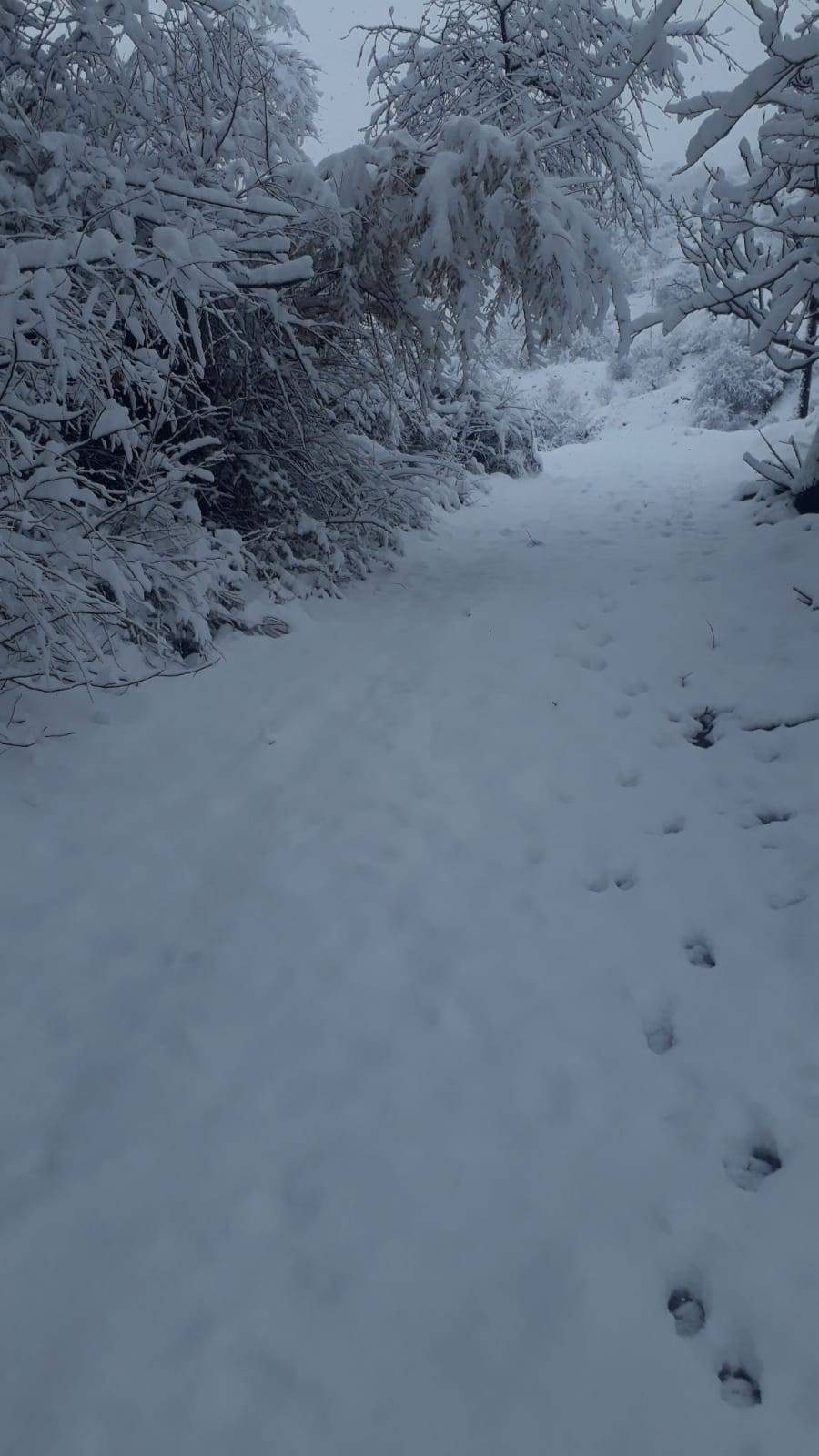 Kale Yenidamlar Köyü Resimleri 7