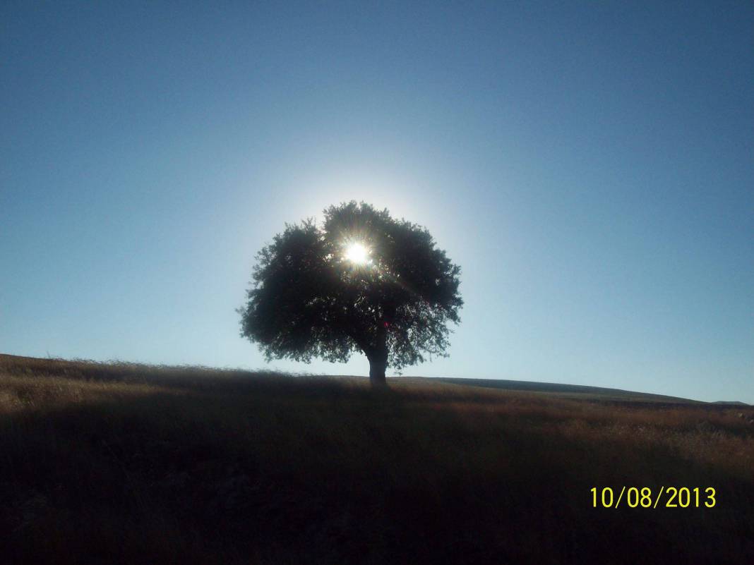 Kuluncak Başören Köyü Resimleri 10