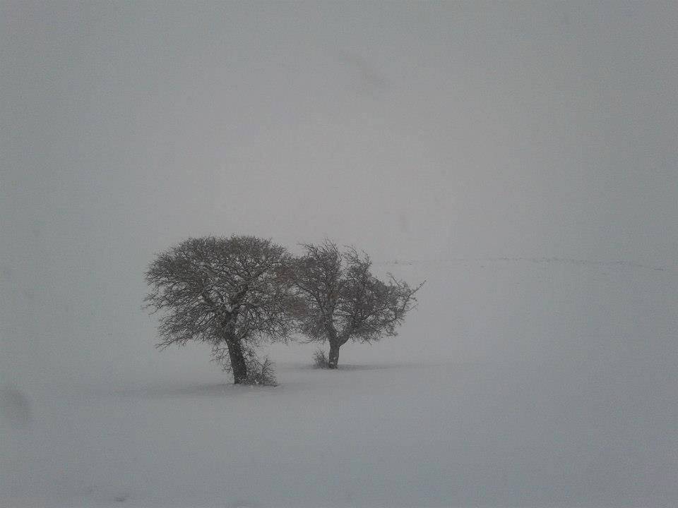 Kuluncak Başören Köyü Resimleri 3