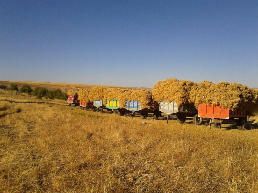 Kuluncak Başören Köyü Resimleri 4