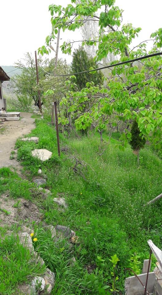 Kuluncak Bıcır Köyü Resimleri 3