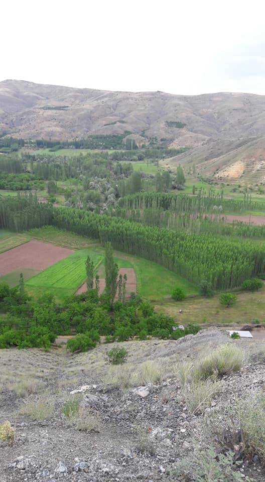 Kuluncak Bıcır Köyü Resimleri 7