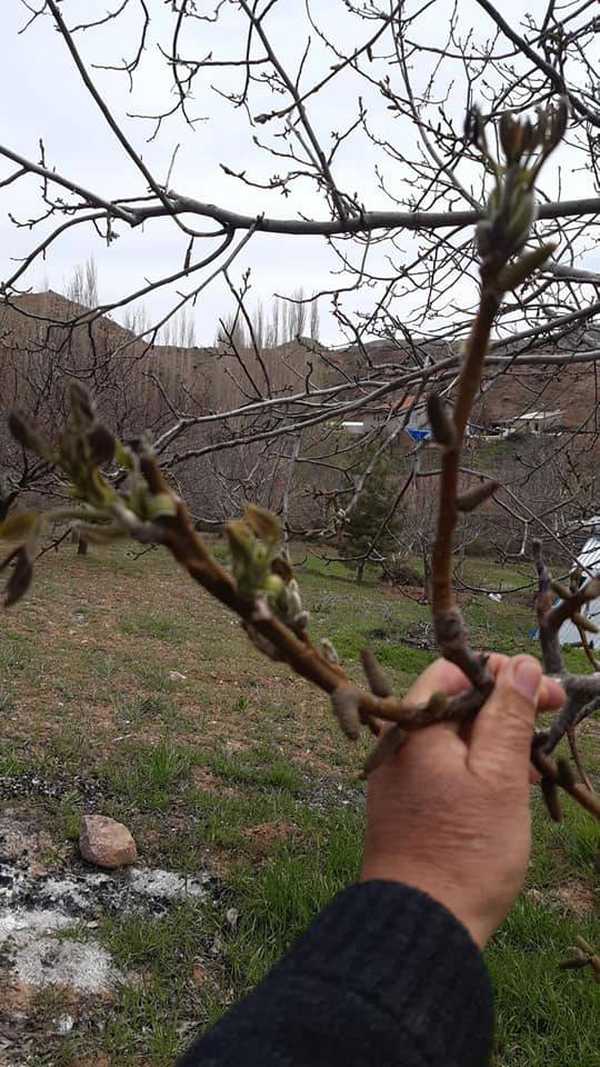 Kuluncak Ciritbelen Köyü Resimleri 1