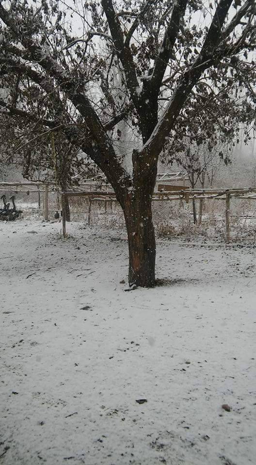Kuluncak Karaçayır Köyü Resimleri 1