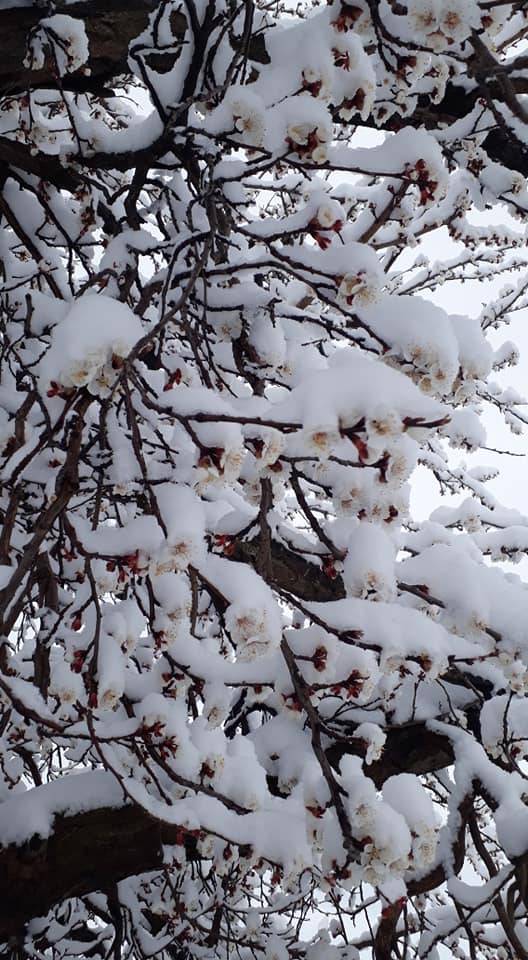 Kuluncak Karaçayır Köyü Resimleri 2