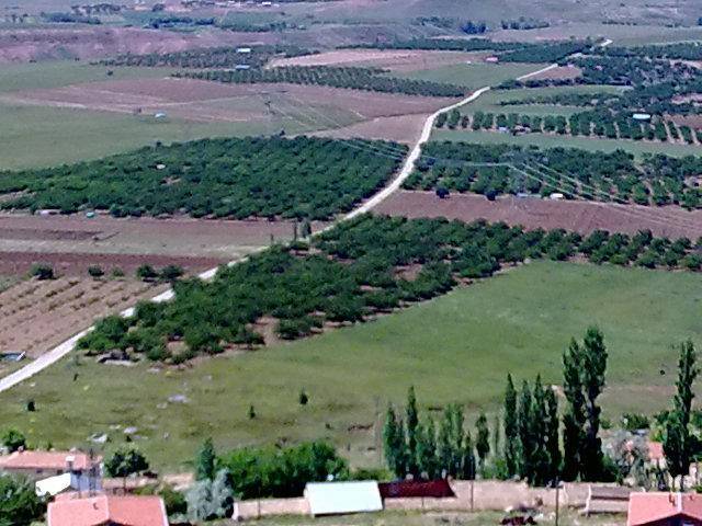 Kuluncak Karıncalık Köyü Resimleri 13