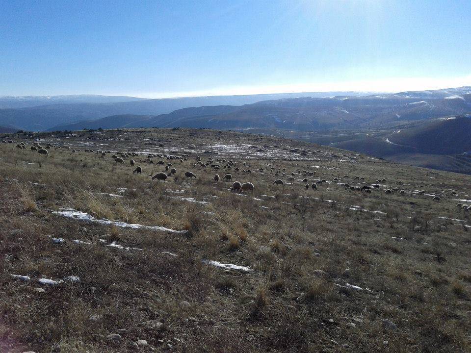 Kuluncak Karlık Köyü Resimleri 6