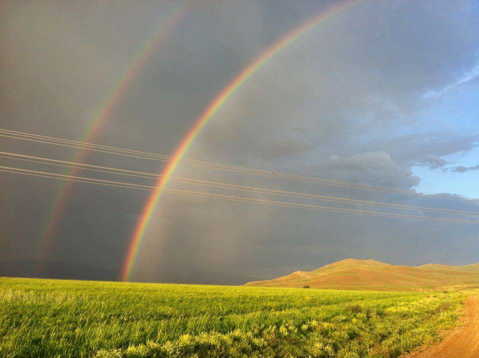Kuluncak Konaktepe Köyü Resimleri 10