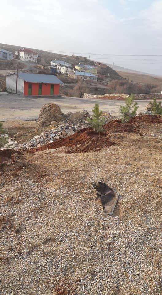 Kuluncak Kızılmağara Köyü Resimleri 8