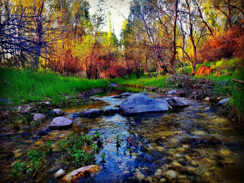 Kuluncak Sofular Köyü Resimleri 6