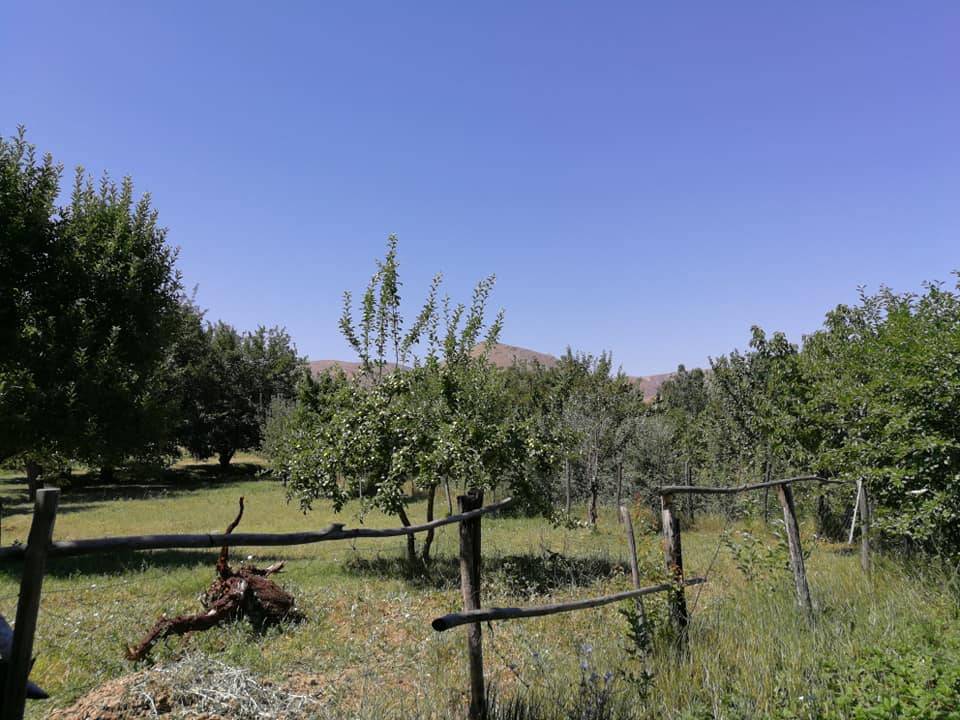 Kuluncak Sofular Köyü Resimleri 7