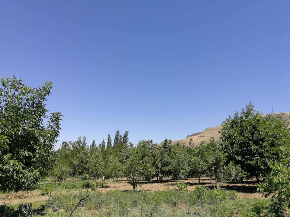 Kuluncak Sofular Köyü Resimleri 8