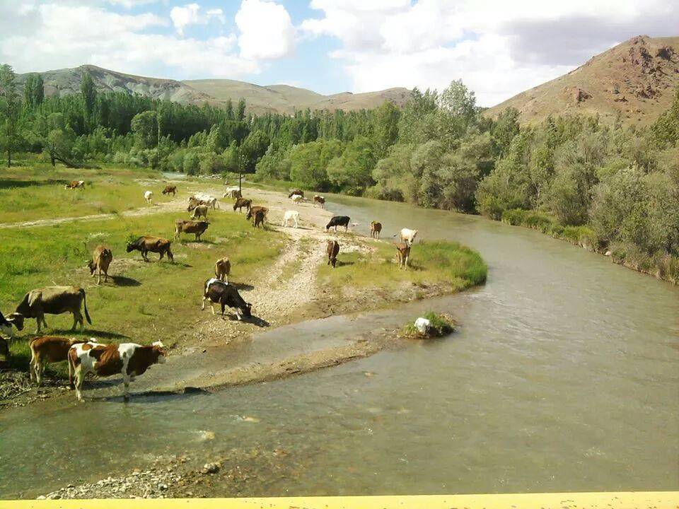 Kuluncak Sultanlı Köyü Resimleri 11