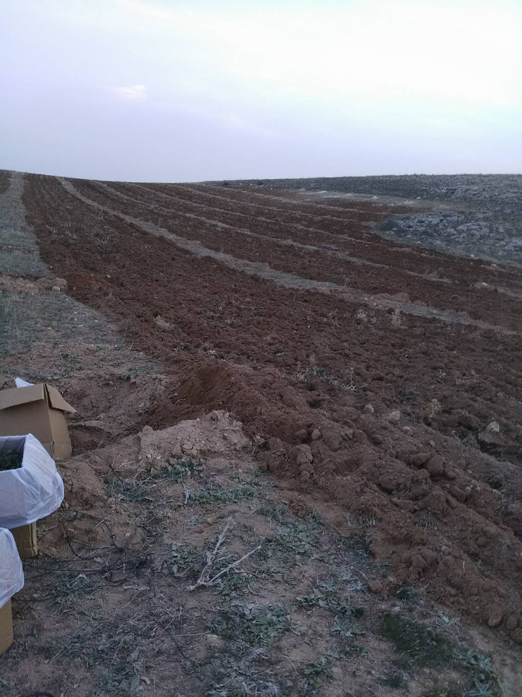 Kuluncak Temüklü Köyü Resimleri 11