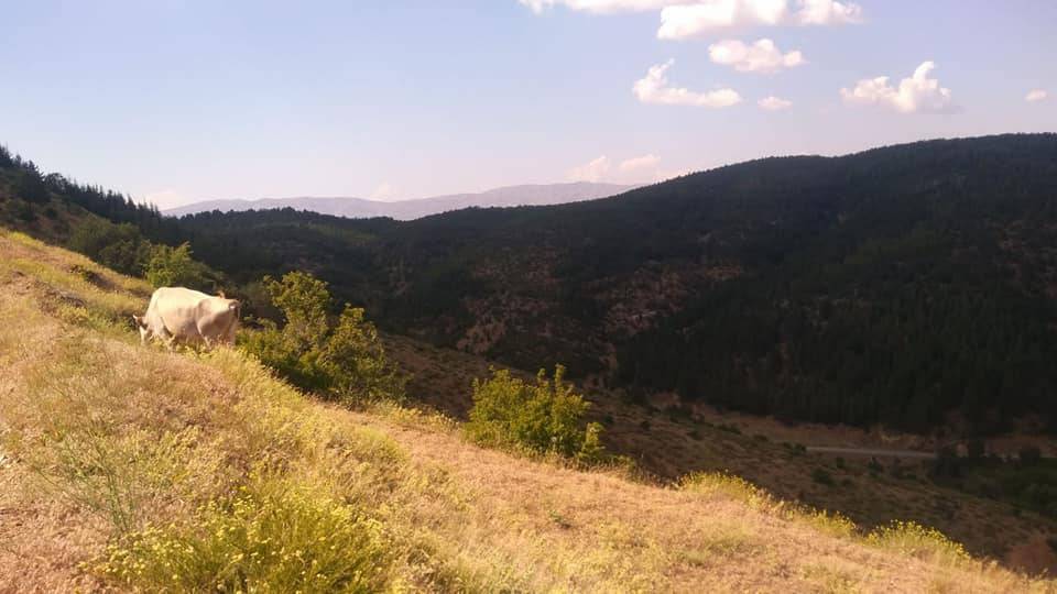 Pütürge Aliçeri Köyü Resimleri 2