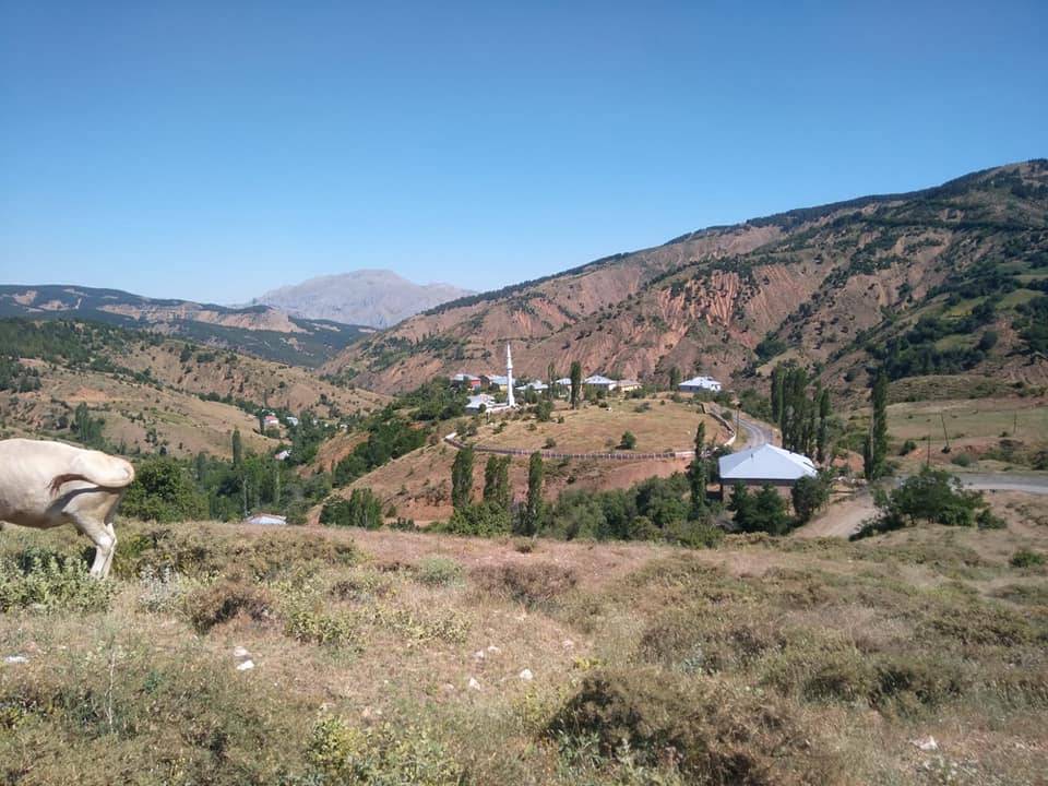 Pütürge Aliçeri Köyü Resimleri 3