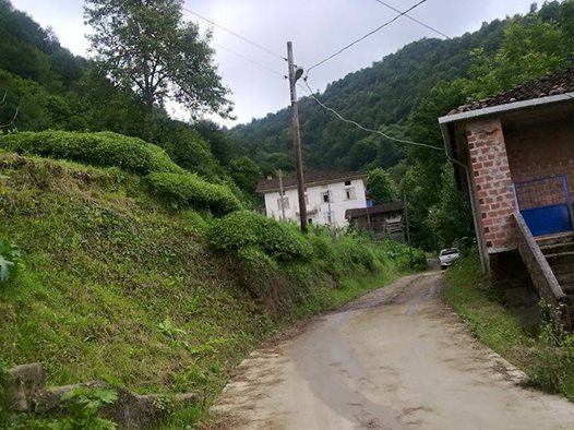 Hemşin Yaltkaya Köyü Resimleri 10