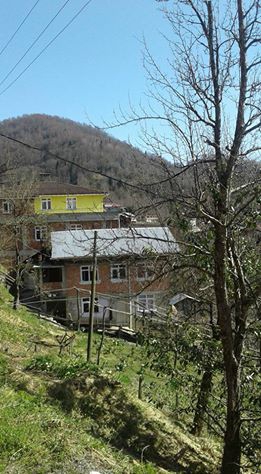 Hemşin Yaltkaya Köyü Resimleri 11