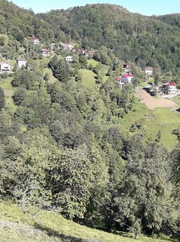 Hemşin Yaltkaya Köyü Resimleri 3