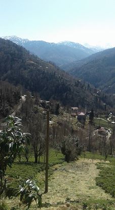 Hemşin Yaltkaya Köyü Resimleri 8