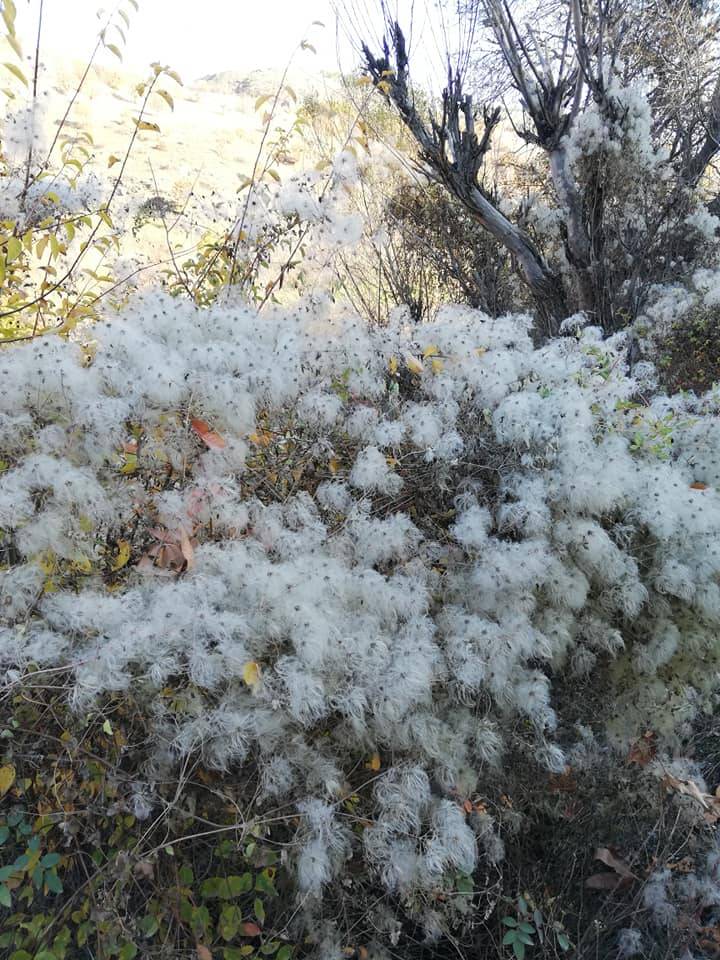 Pütürge Alihan Köyü Resimleri 3