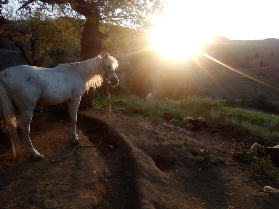 Pütürge Arınlı Köyü Resimleri 3
