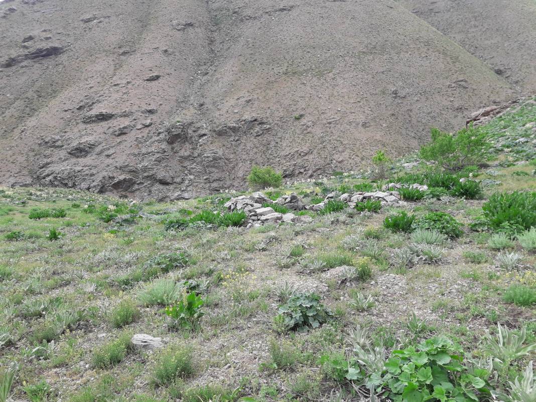 Pütürge Arınlı Köyü Resimleri 5