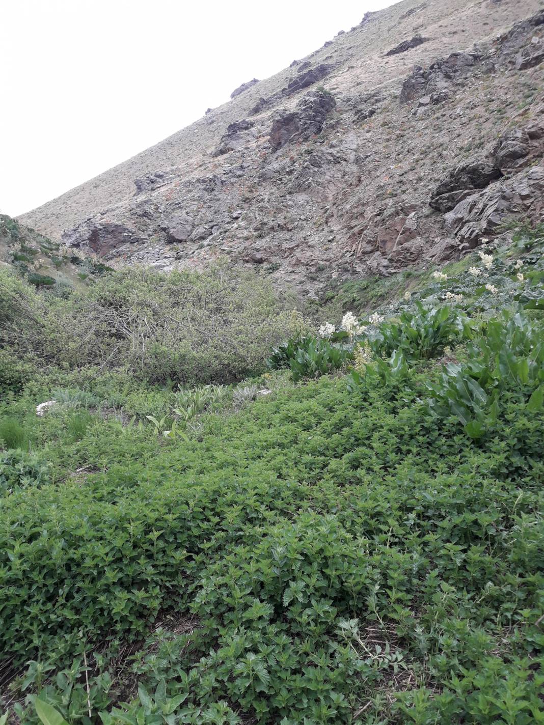 Pütürge Arınlı Köyü Resimleri 7