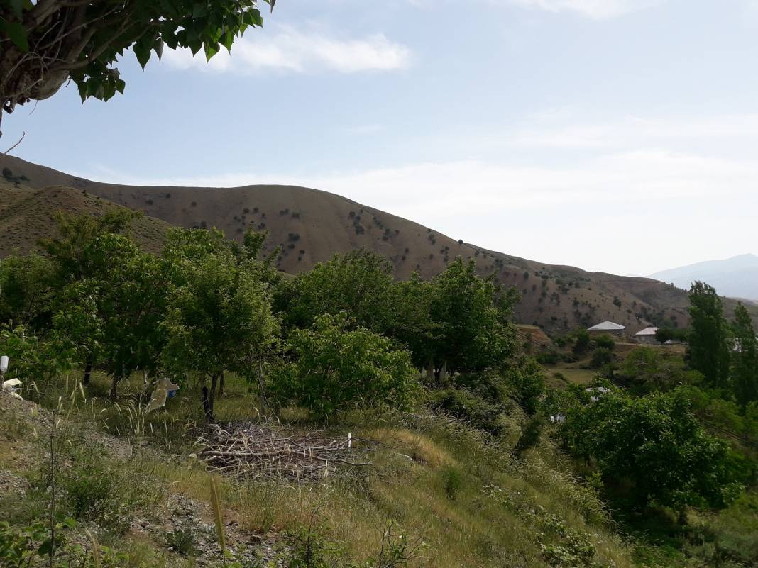 Pütürge Arınlı Köyü Resimleri 9