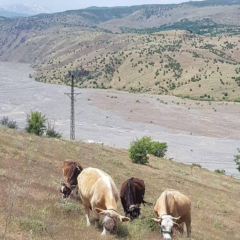 Pütürge Başmezra Köyü Resimleri 9