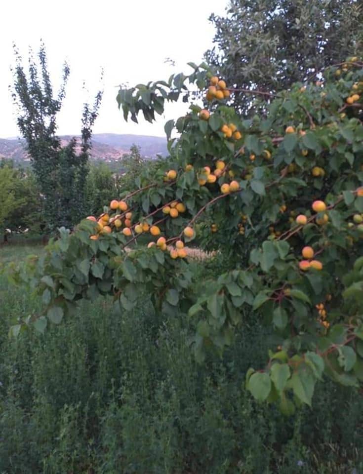 Pütürge Bölükkaya Köyü Resimleri 1