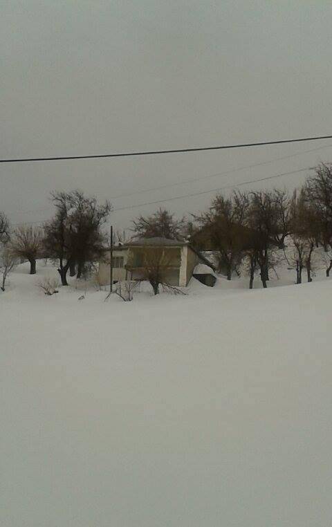 Pütürge Bölünmez Köyü Resimleri 4