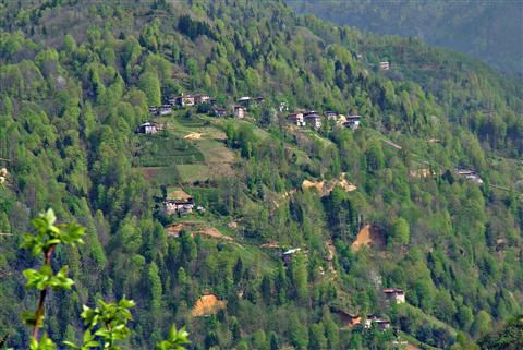 Hemşin Yeniköy Köyü Resimleri 1