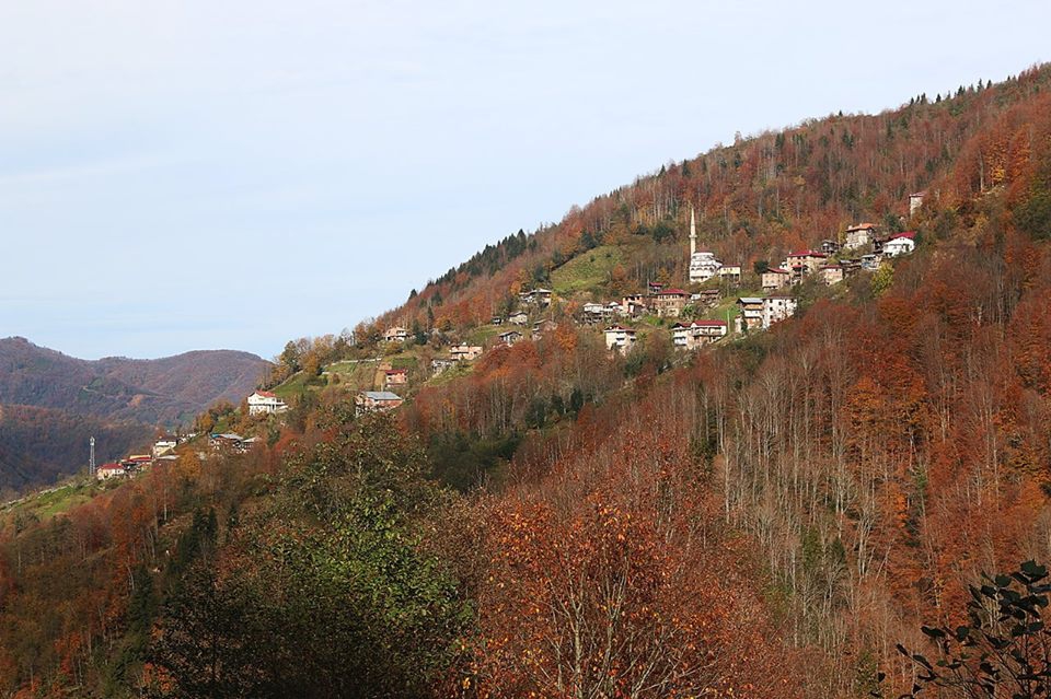 Hemşin Yeniköy Köyü Resimleri 11