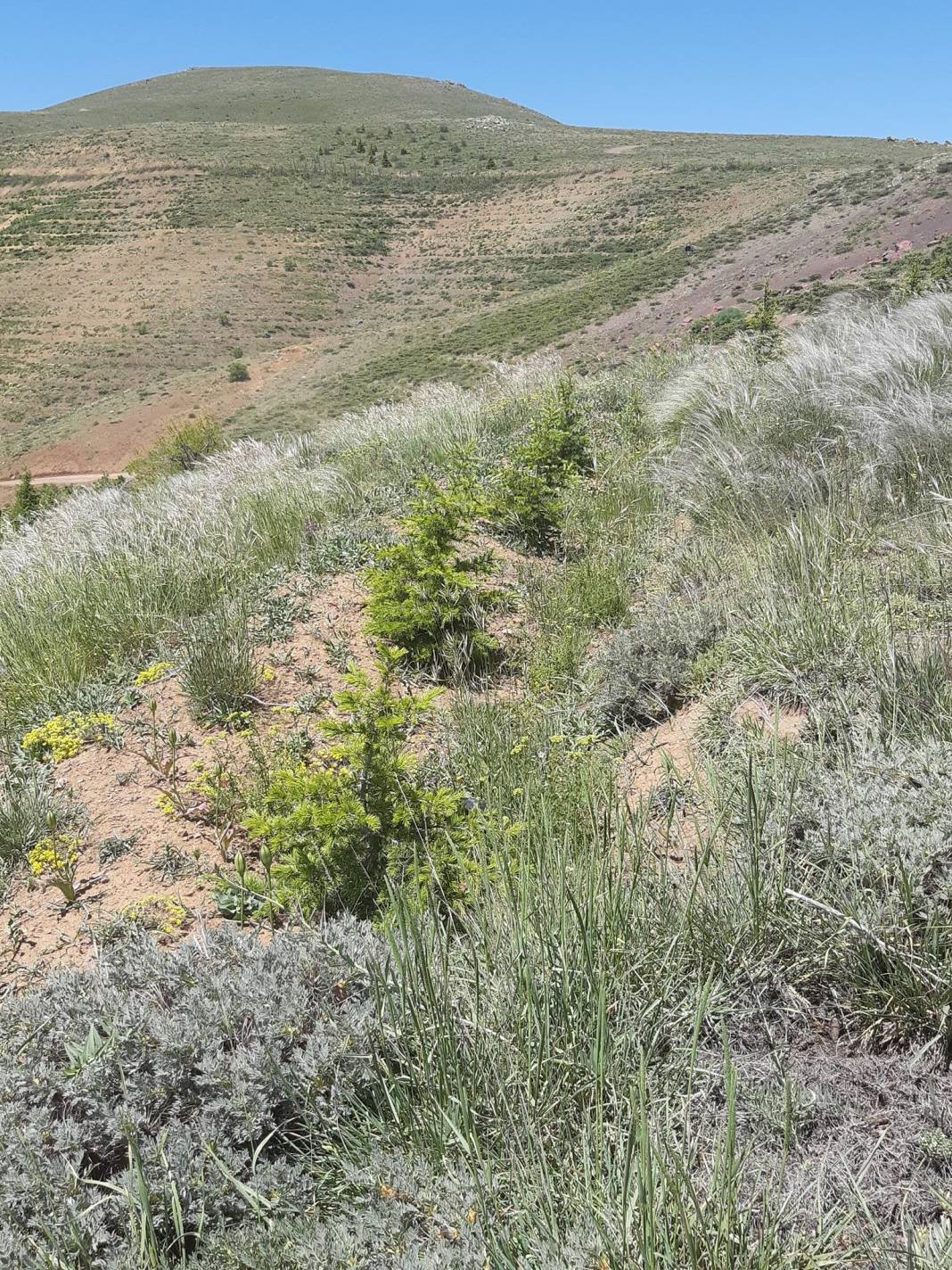 Pütürge Çayköy Köyü Resimleri 2