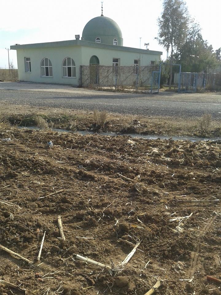 Kızıltepe Aktepe Köyü Resimleri 3