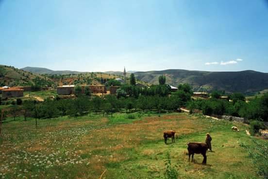 Pütürge Gündüz Köyü Resimleri 3