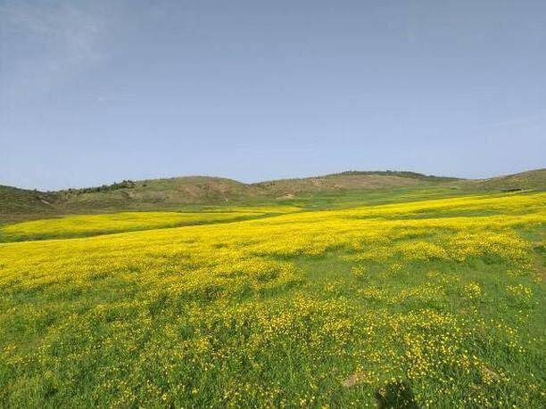 Pütürge Kozluk Köyü Resimleri 8