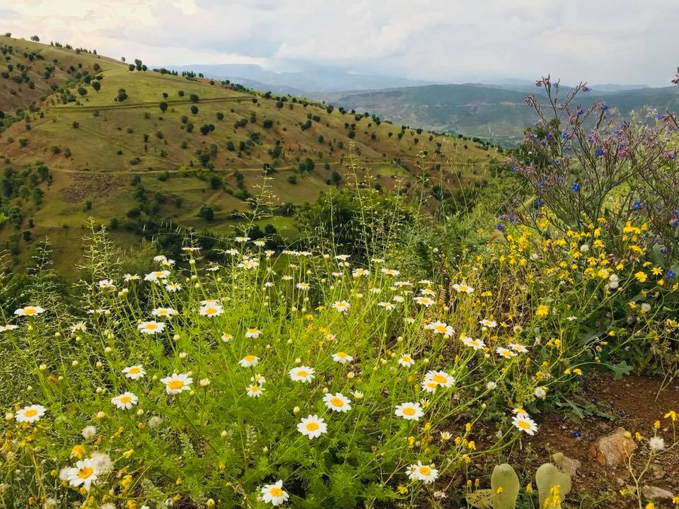Pütürge Körme Köyü Resimleri 9