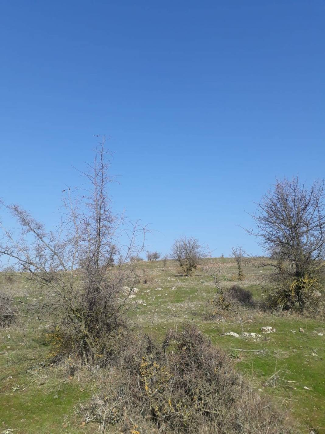 Kocasinan Erkilet Mehmet Akif Ersoy Köyü Resimleri 1