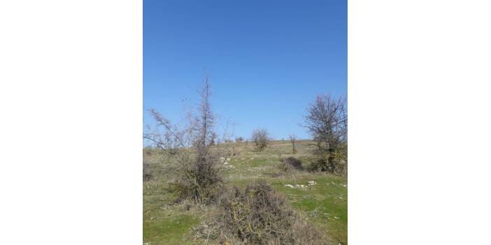 Kocasinan Erkilet Mehmet Akif Ersoy Köyü Resimleri